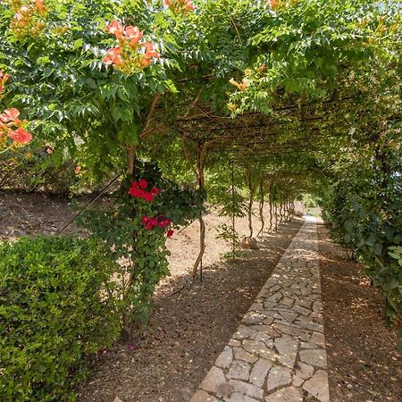 Agallis Corfu Residence Sokrákion Exteriér fotografie