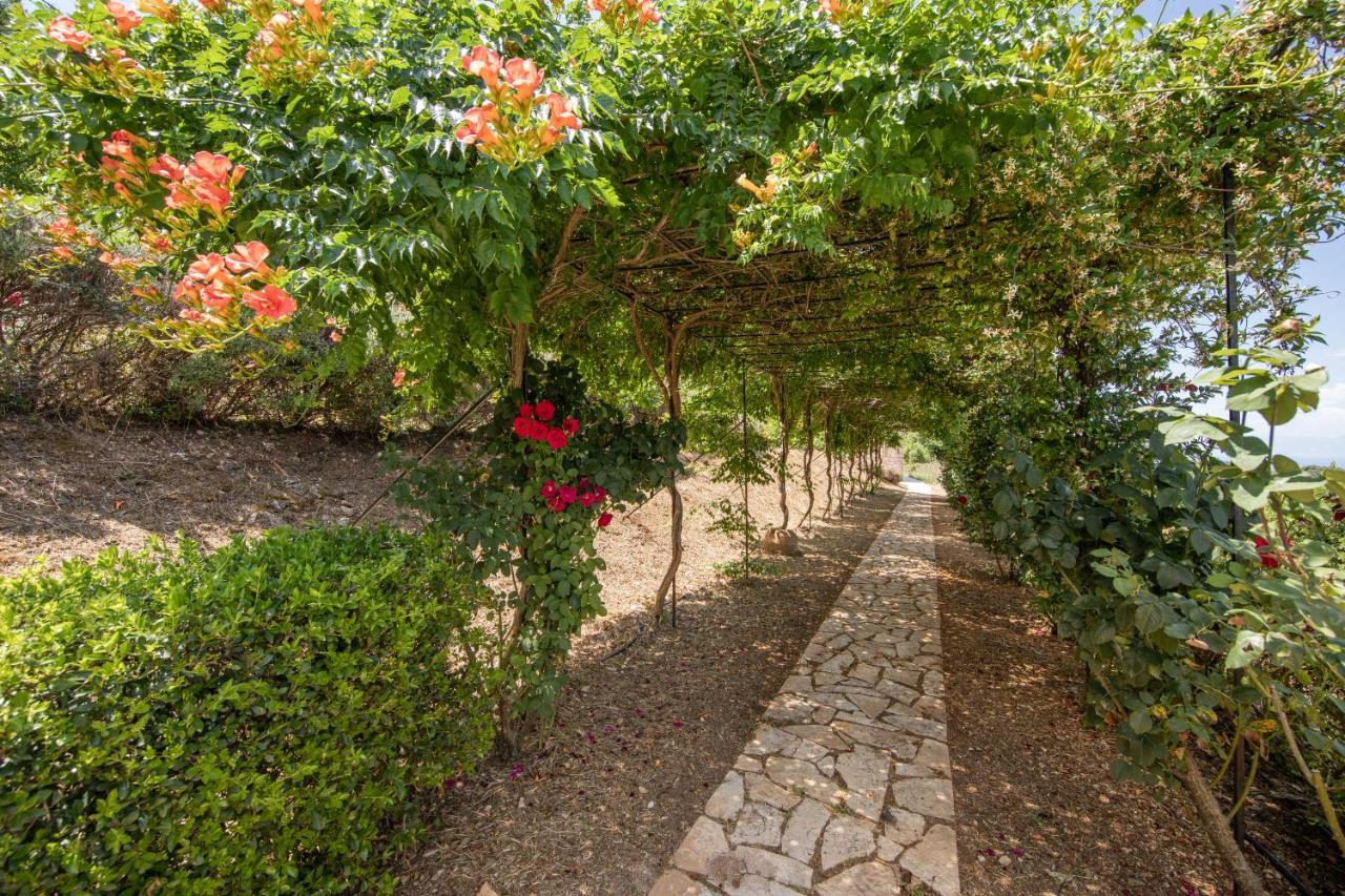 Agallis Corfu Residence Sokrákion Exteriér fotografie