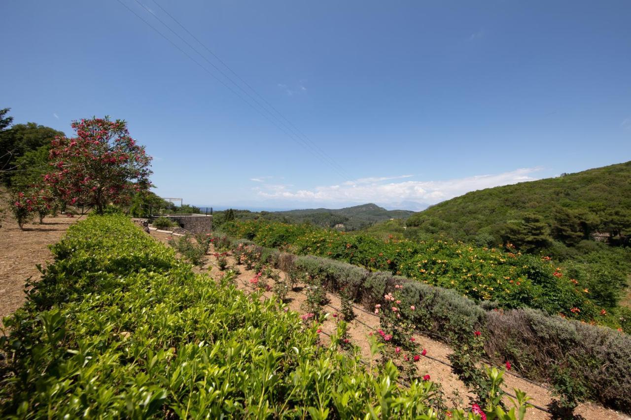 Agallis Corfu Residence Sokrákion Exteriér fotografie